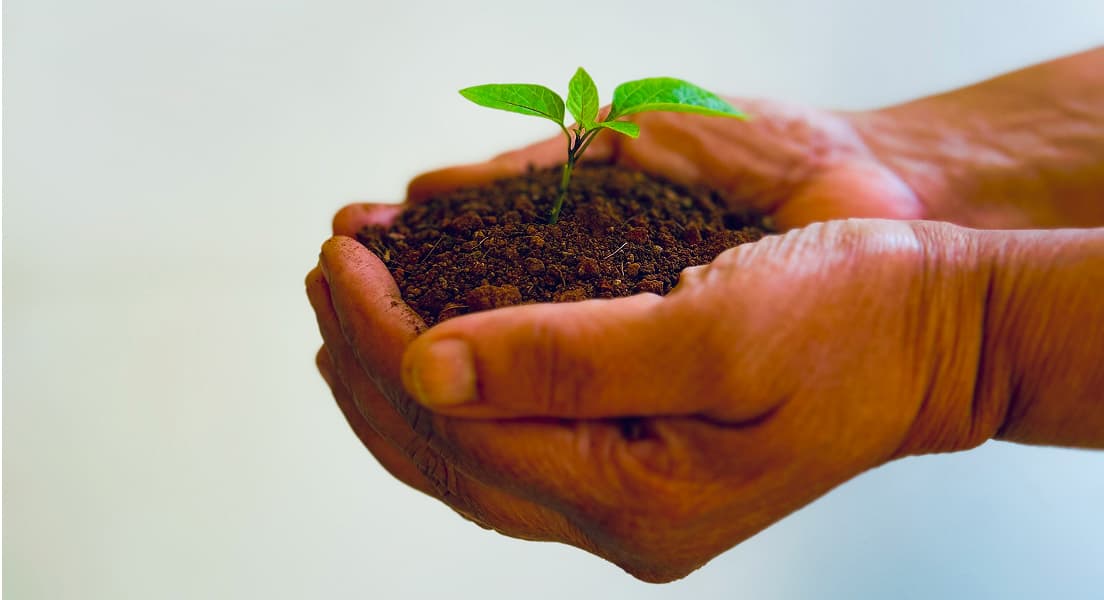 環境保護の画像